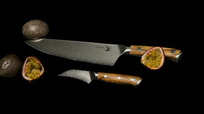 Art knivsæt med 2 køkkenknive - Startersættet